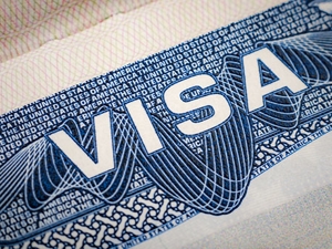 U Visa Petitions Image